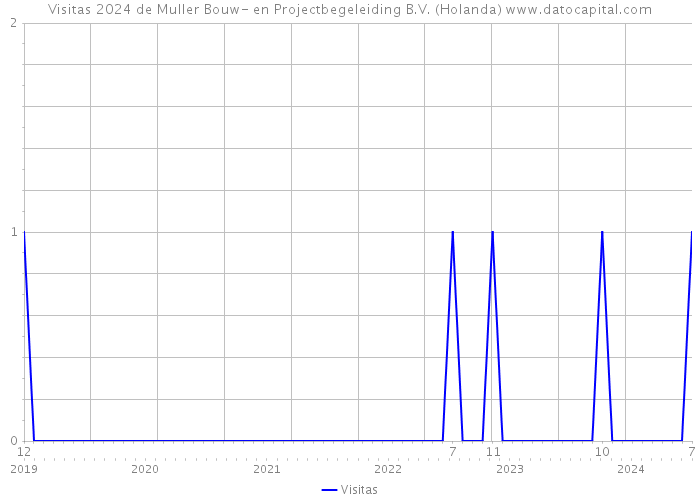 Visitas 2024 de Muller Bouw- en Projectbegeleiding B.V. (Holanda) 