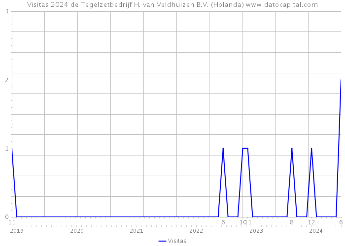 Visitas 2024 de Tegelzetbedrijf H. van Veldhuizen B.V. (Holanda) 