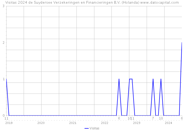 Visitas 2024 de Suydersee Verzekeringen en Financieringen B.V. (Holanda) 