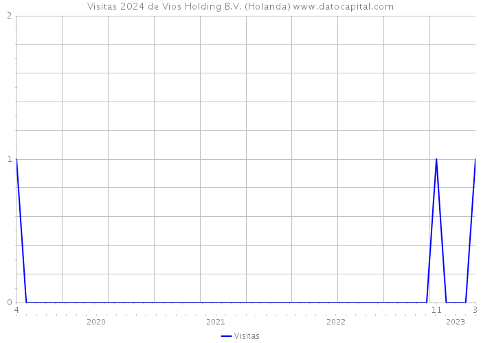 Visitas 2024 de Vios Holding B.V. (Holanda) 