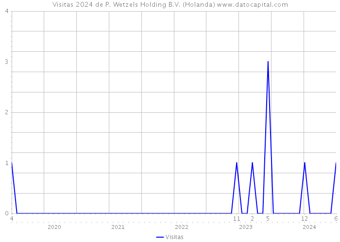 Visitas 2024 de P. Wetzels Holding B.V. (Holanda) 