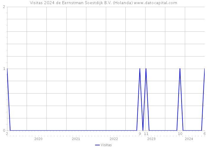 Visitas 2024 de Eernstman Soestdijk B.V. (Holanda) 