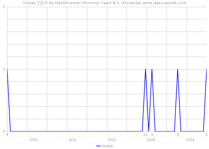 Visitas 2024 de Healthcenter Hoornse Vaart B.V. (Holanda) 