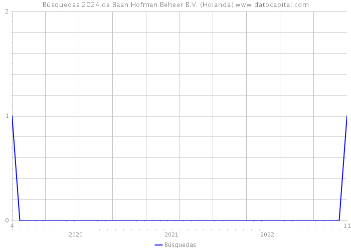 Búsquedas 2024 de Baan Hofman Beheer B.V. (Holanda) 