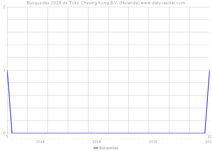 Búsquedas 2024 de Toko Cheung Kong B.V. (Holanda) 