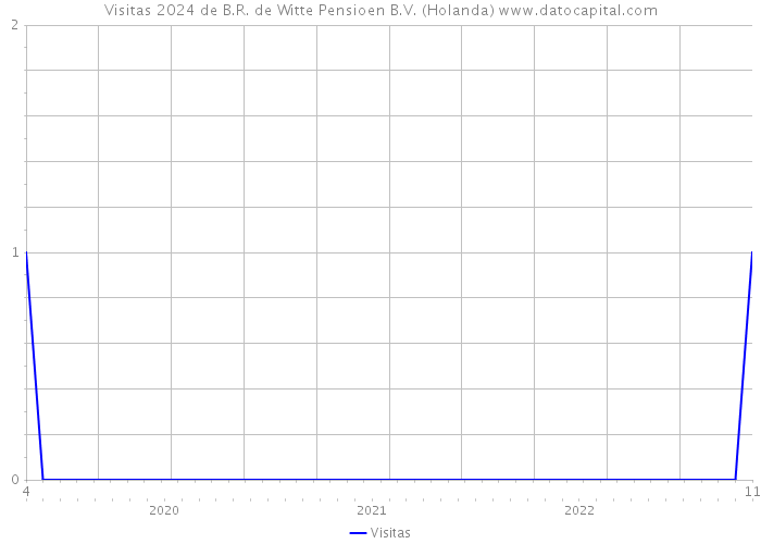 Visitas 2024 de B.R. de Witte Pensioen B.V. (Holanda) 