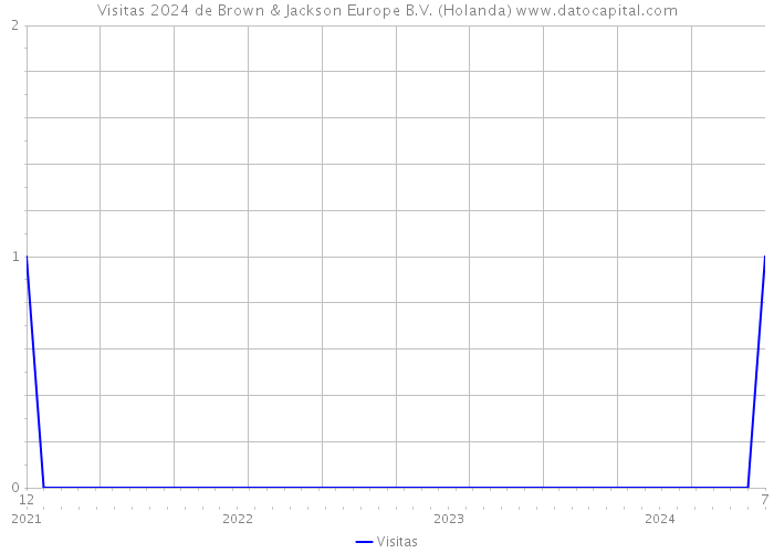 Visitas 2024 de Brown & Jackson Europe B.V. (Holanda) 