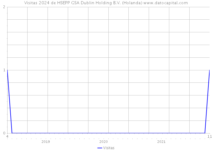 Visitas 2024 de HSEPP GSA Dublin Holding B.V. (Holanda) 