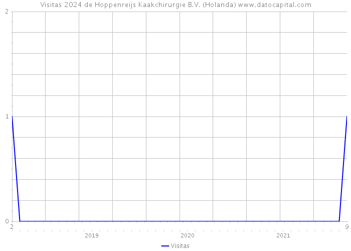 Visitas 2024 de Hoppenreijs Kaakchirurgie B.V. (Holanda) 