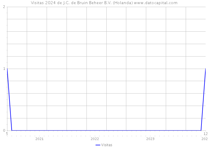 Visitas 2024 de J.C. de Bruin Beheer B.V. (Holanda) 