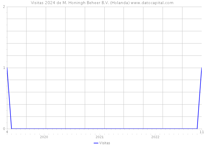 Visitas 2024 de M. Honingh Beheer B.V. (Holanda) 