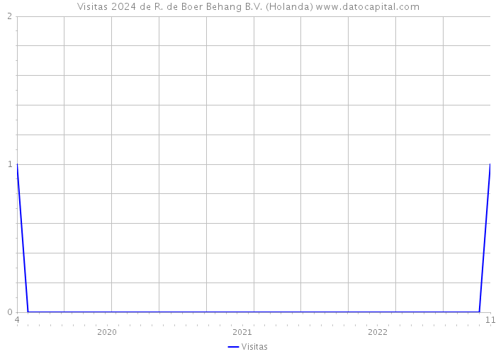 Visitas 2024 de R. de Boer Behang B.V. (Holanda) 