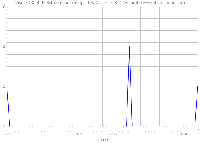 Visitas 2024 de Beheermaatschappij T.B. Osseman B.V. (Holanda) 