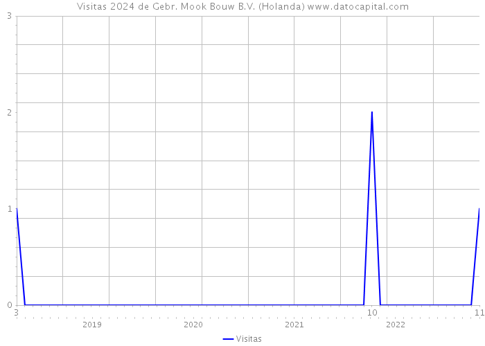 Visitas 2024 de Gebr. Mook Bouw B.V. (Holanda) 