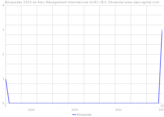 Búsquedas 2024 de Atex Management International (A.M.I.) B.V. (Holanda) 