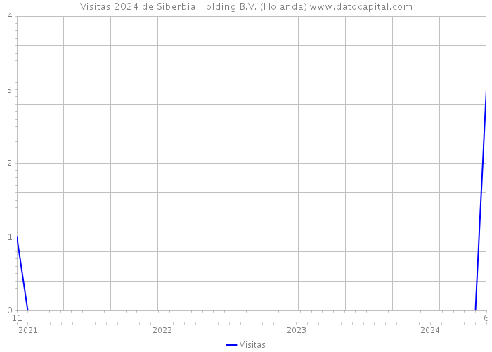 Visitas 2024 de Siberbia Holding B.V. (Holanda) 
