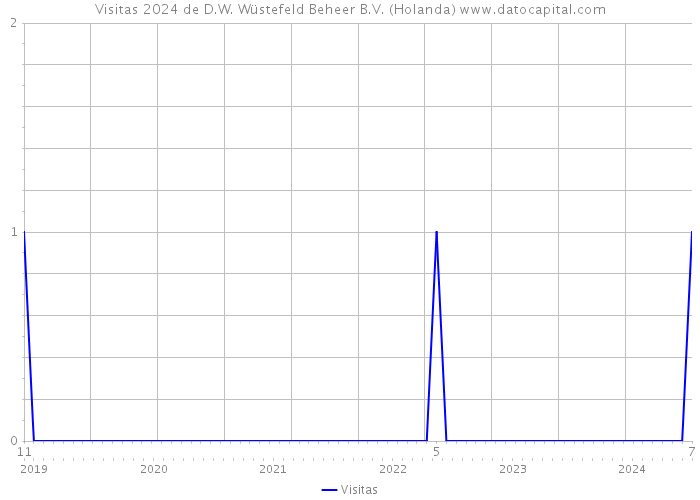 Visitas 2024 de D.W. Wüstefeld Beheer B.V. (Holanda) 