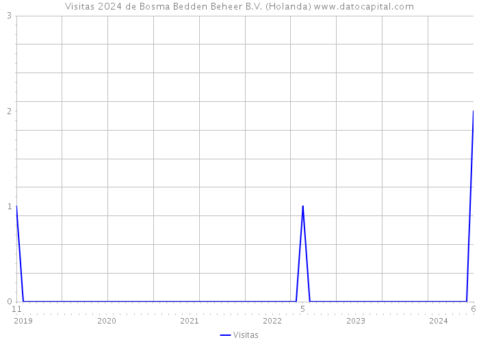 Visitas 2024 de Bosma Bedden Beheer B.V. (Holanda) 