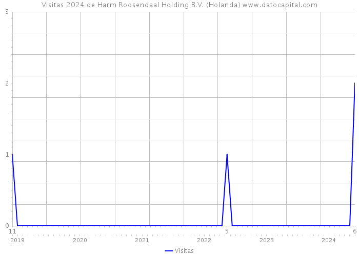 Visitas 2024 de Harm Roosendaal Holding B.V. (Holanda) 