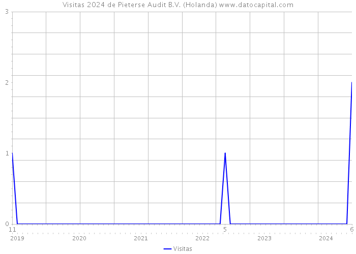 Visitas 2024 de Pieterse Audit B.V. (Holanda) 