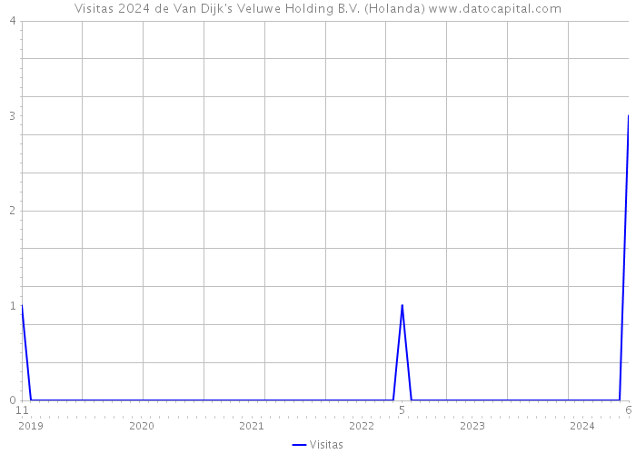 Visitas 2024 de Van Dijk's Veluwe Holding B.V. (Holanda) 