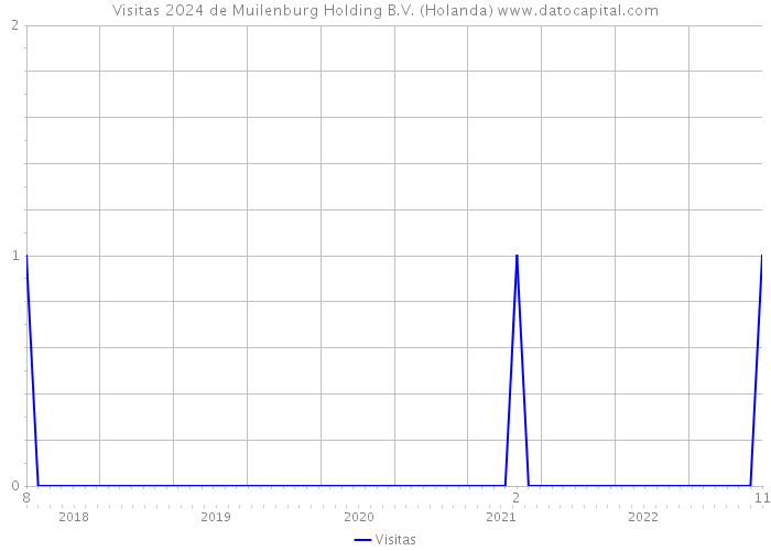 Visitas 2024 de Muilenburg Holding B.V. (Holanda) 