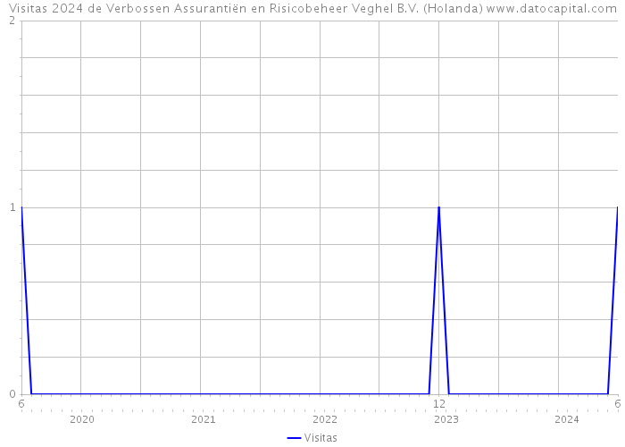 Visitas 2024 de Verbossen Assurantiën en Risicobeheer Veghel B.V. (Holanda) 