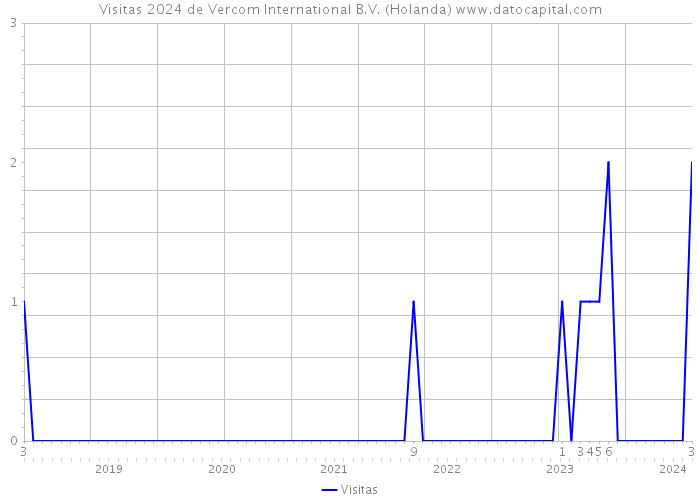Visitas 2024 de Vercom International B.V. (Holanda) 