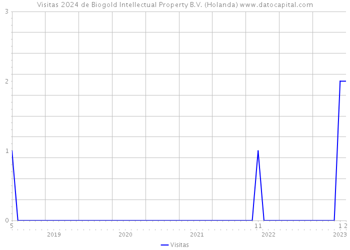 Visitas 2024 de Biogold Intellectual Property B.V. (Holanda) 