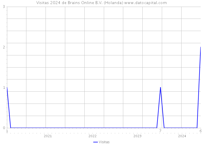 Visitas 2024 de Brains Online B.V. (Holanda) 