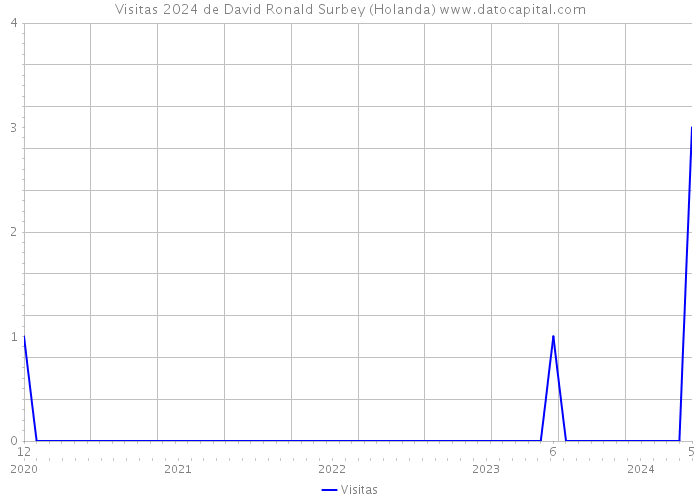 Visitas 2024 de David Ronald Surbey (Holanda) 