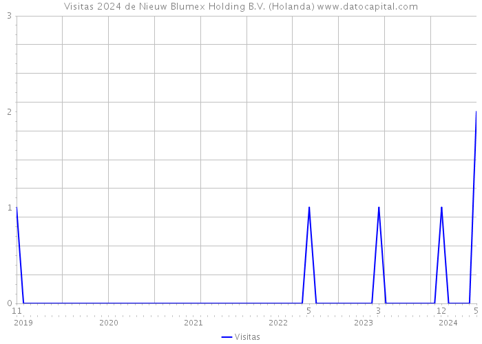 Visitas 2024 de Nieuw Blumex Holding B.V. (Holanda) 