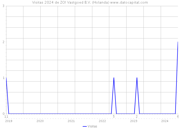 Visitas 2024 de ZO! Vastgoed B.V. (Holanda) 