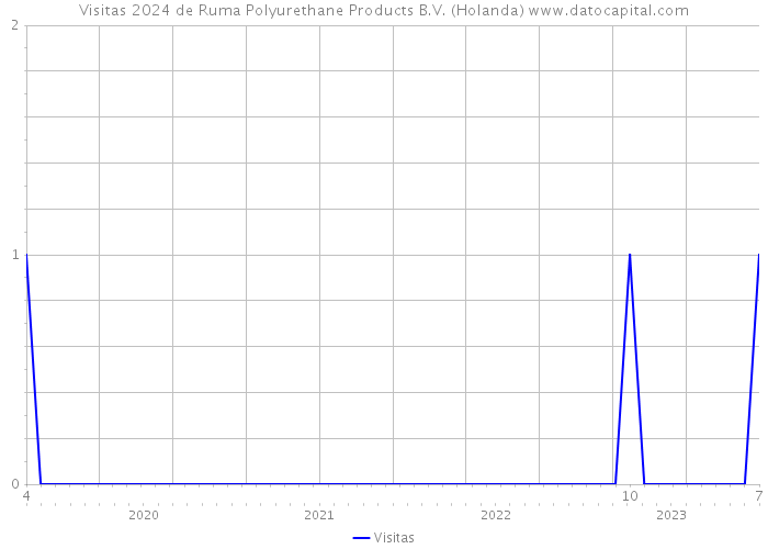Visitas 2024 de Ruma Polyurethane Products B.V. (Holanda) 