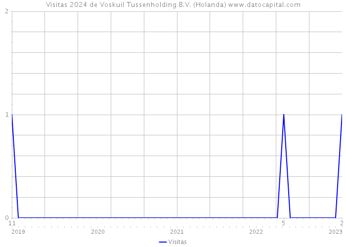 Visitas 2024 de Voskuil Tussenholding B.V. (Holanda) 