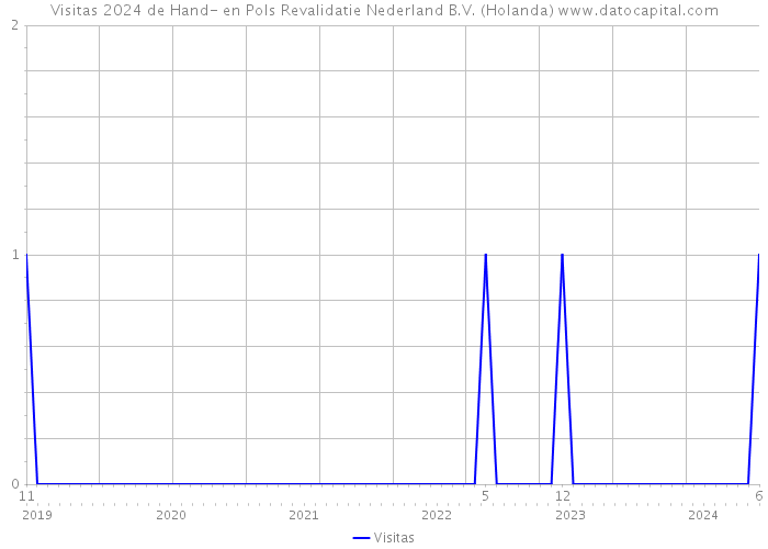 Visitas 2024 de Hand- en Pols Revalidatie Nederland B.V. (Holanda) 