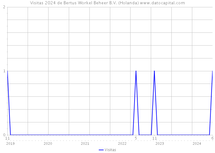 Visitas 2024 de Bertus Workel Beheer B.V. (Holanda) 