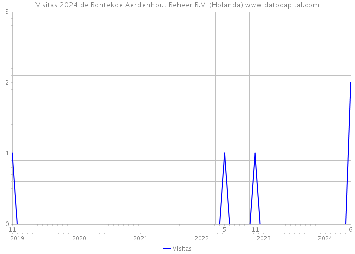 Visitas 2024 de Bontekoe Aerdenhout Beheer B.V. (Holanda) 