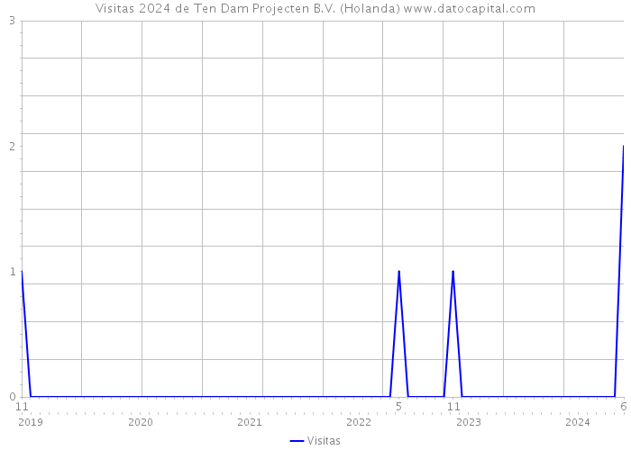 Visitas 2024 de Ten Dam Projecten B.V. (Holanda) 