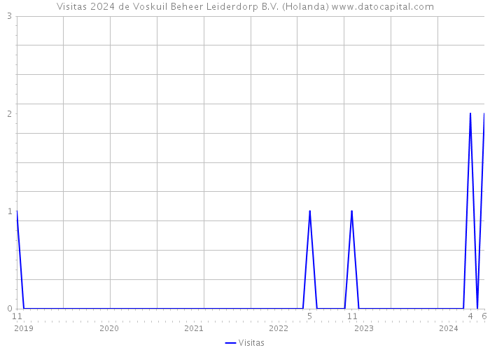 Visitas 2024 de Voskuil Beheer Leiderdorp B.V. (Holanda) 