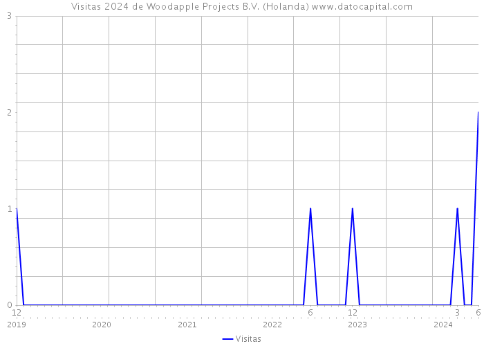 Visitas 2024 de Woodapple Projects B.V. (Holanda) 