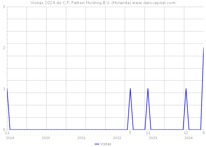 Visitas 2024 de C.F. Falken Holding B.V. (Holanda) 