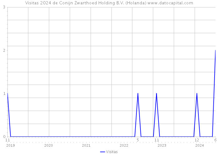 Visitas 2024 de Conijn Zwarthoed Holding B.V. (Holanda) 