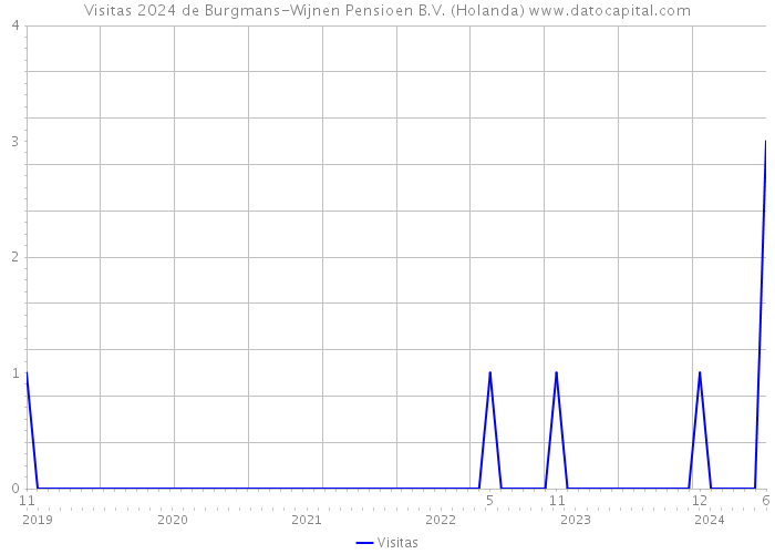 Visitas 2024 de Burgmans-Wijnen Pensioen B.V. (Holanda) 