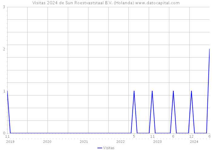 Visitas 2024 de Sun Roestvaststaal B.V. (Holanda) 