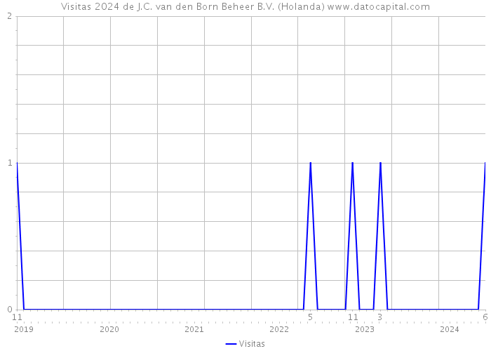 Visitas 2024 de J.C. van den Born Beheer B.V. (Holanda) 