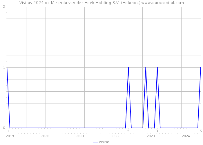 Visitas 2024 de Miranda van der Hoek Holding B.V. (Holanda) 