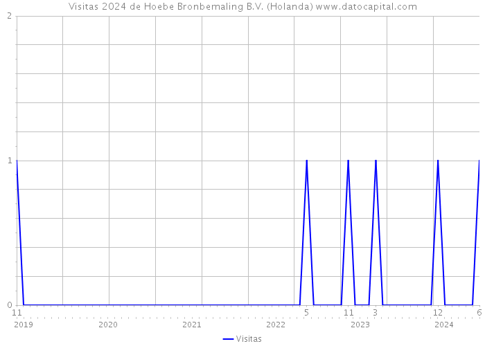 Visitas 2024 de Hoebe Bronbemaling B.V. (Holanda) 