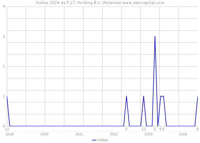 Visitas 2024 de F.J.T. Holding B.V. (Holanda) 