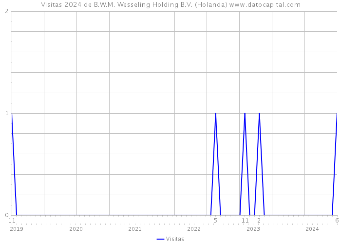 Visitas 2024 de B.W.M. Wesseling Holding B.V. (Holanda) 